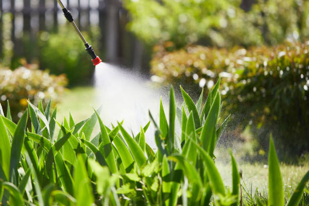 Tamper-Resistant Bait Stations for Rodents in Sedgwick