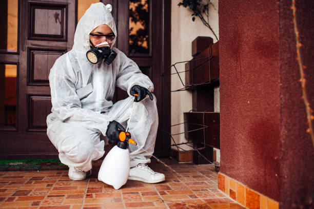 Attic and Crawl Space Rodent Treatment in Sedgwick