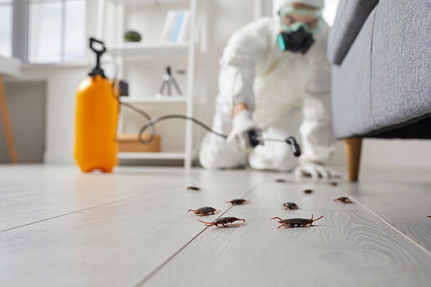 Commercial Rodent Management in Sedgwick